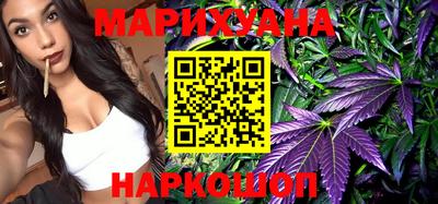 сатива Будённовск