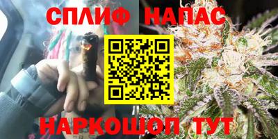 сатива Будённовск