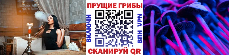 купить  цена  Елец  Псилоцибиновые грибы GOLDEN TEACHER 