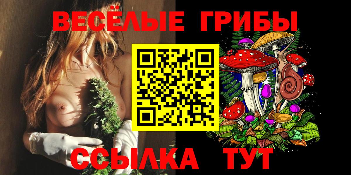 Елец  Галлюциногенные грибы GOLDEN TEACHER  Вход с VPN 