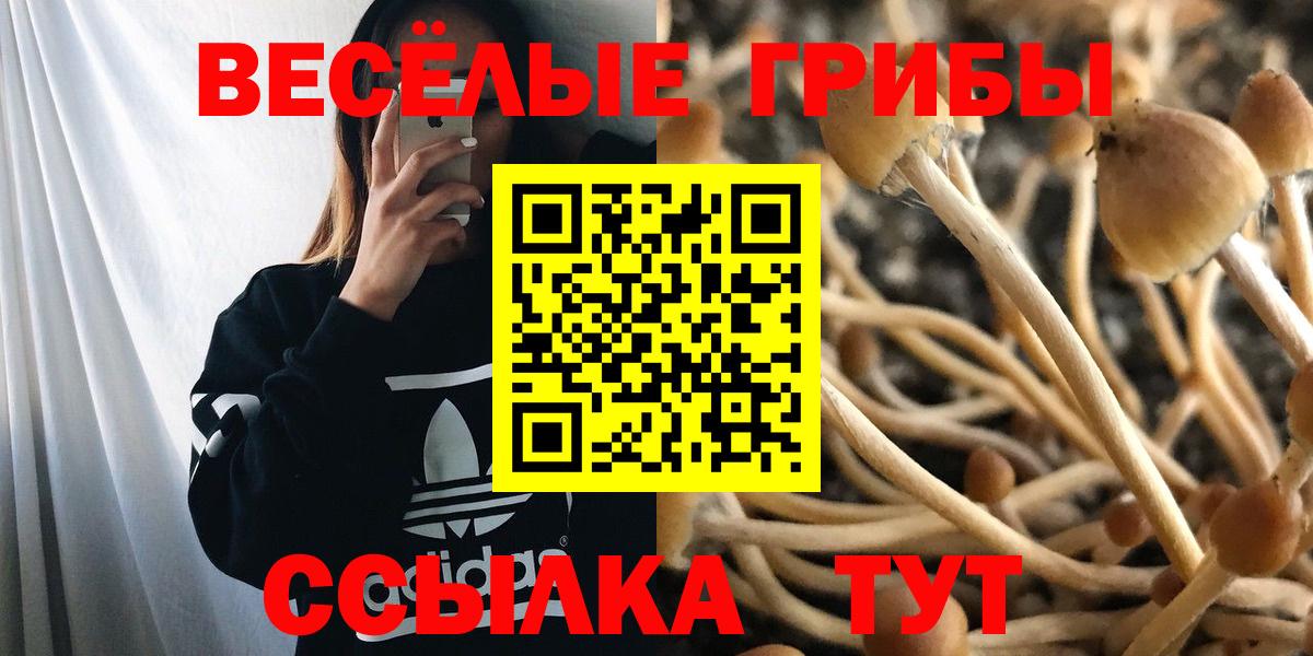 Псилоцибиновые грибы MAGIC MUSHROOMS Елец